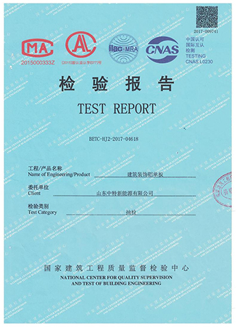 檢測報告